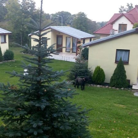 Domki Letniskowe W Wapnicy Villa Lubin  Eksteriør billede